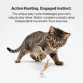 WobbleStrike™ Feather Teaser (2-Pack)  - Kinetic Hunting Toy for Indoor Cats