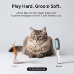 The Ultimate Cat Care Duo: Play & Groom Kit