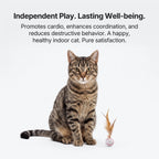 WobbleStrike™ Feather Teaser (2-Pack)  - Kinetic Hunting Toy for Indoor Cats
