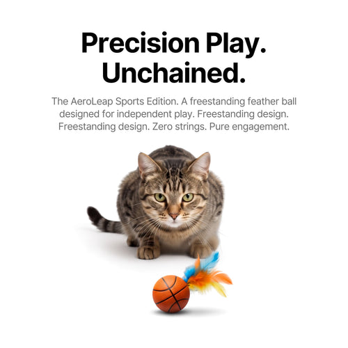 WobbleStrike™ Feather Teaser 🐾 - Kinetic Hunting Toy for Indoor Cats